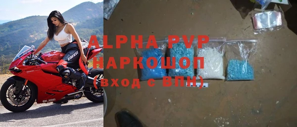 амф Каменногорск