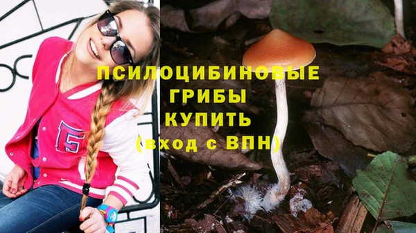 амф Каменногорск