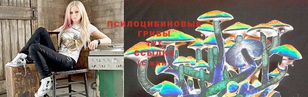 амф Каменногорск