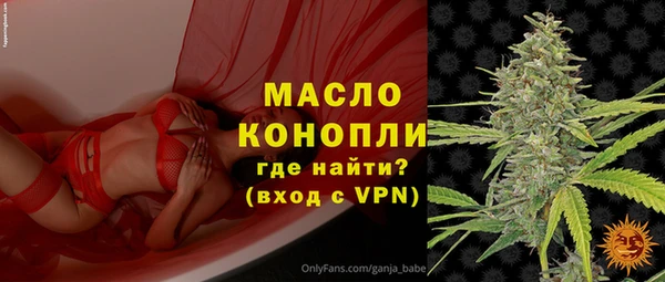 амф Каменногорск