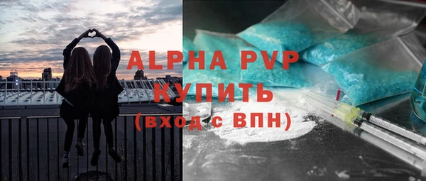 амф Каменногорск