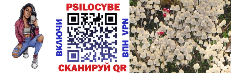 Галлюциногенные грибы GOLDEN TEACHER  Купить  Голицыно 